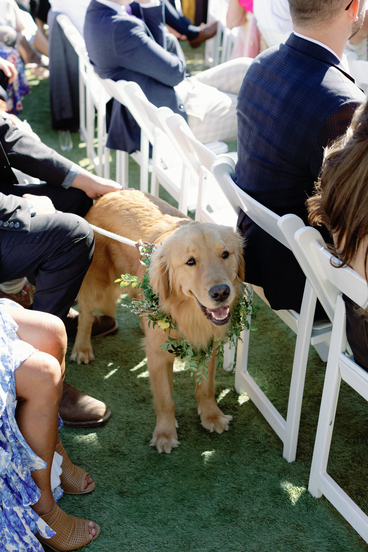 Katie + Matt Wedding_Niki Rhodes Photo-46