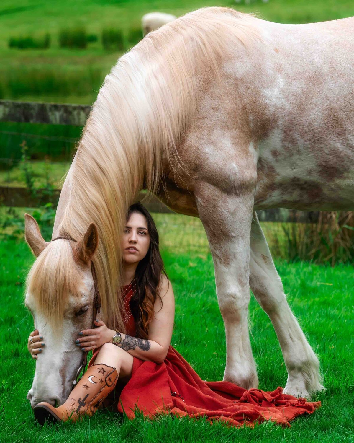 seattle-equine-photographer-8