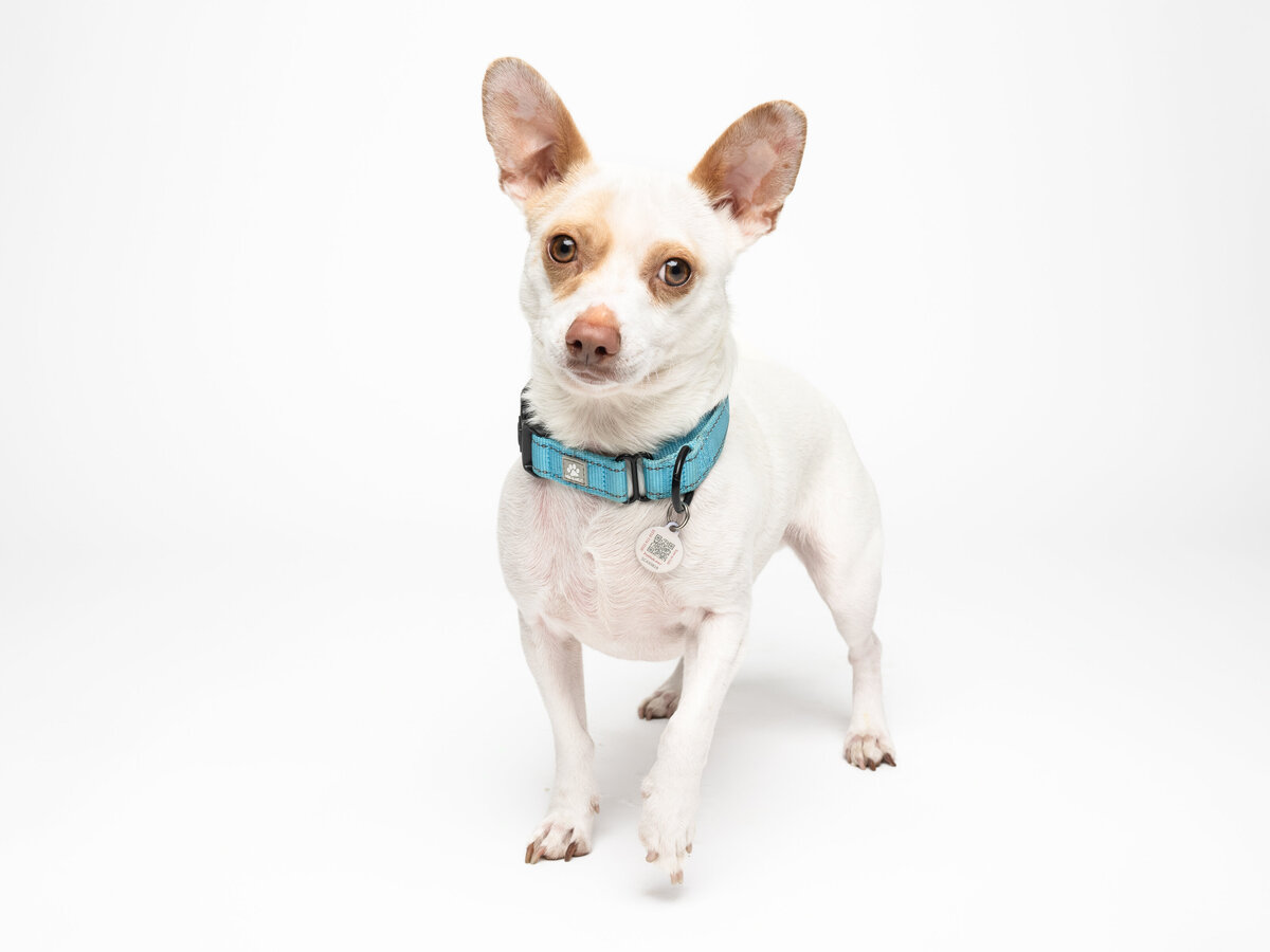 Website3500-DSC01583