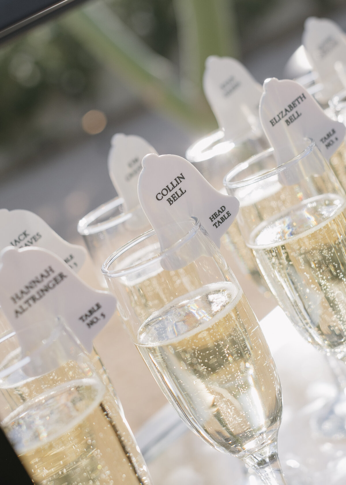Arizona-Andaz-Resort-Scottsdale-Wedding-Photos-Annette-Ambrose-Photography-1017