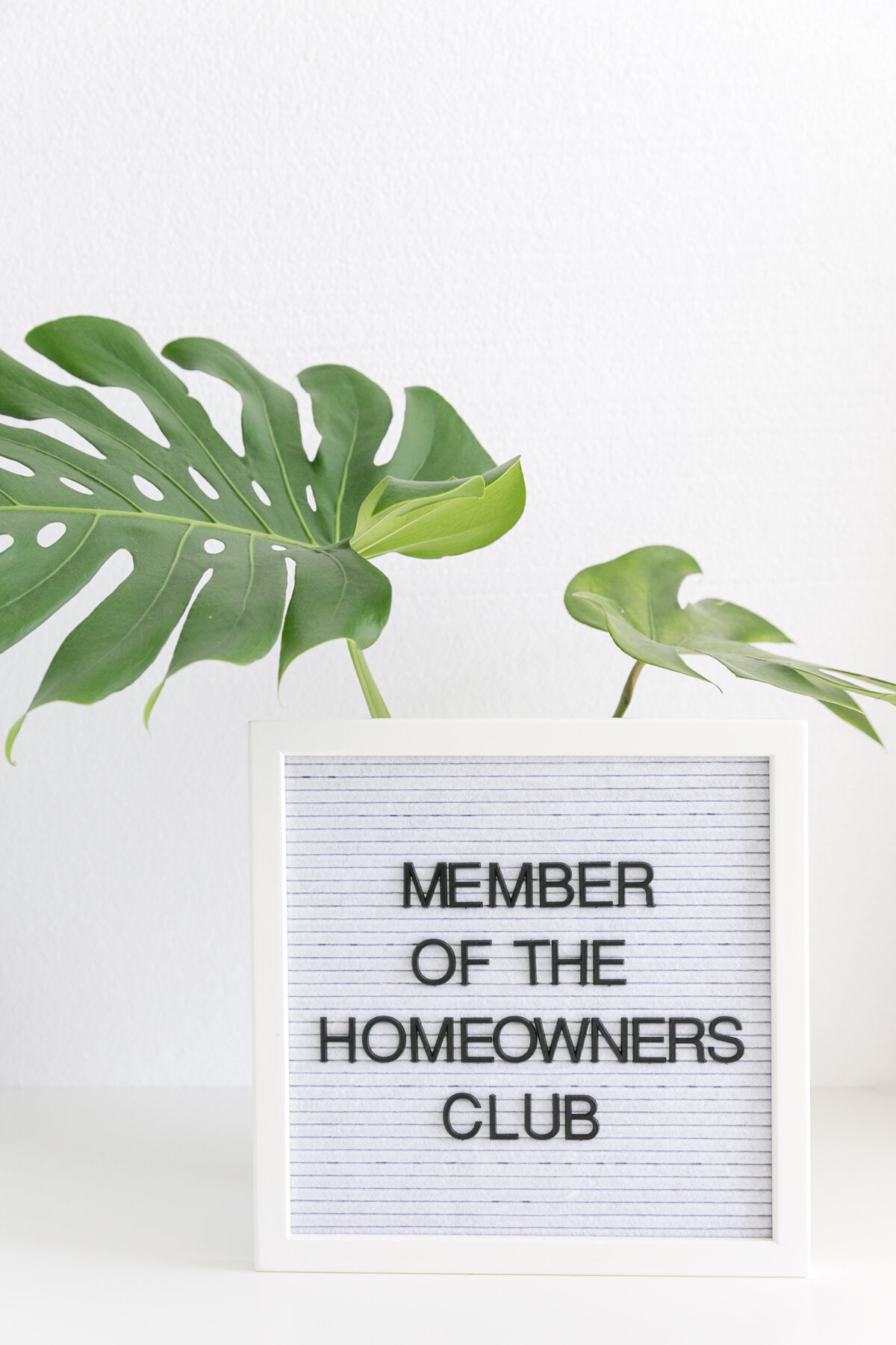 Chelsea P. stock images21