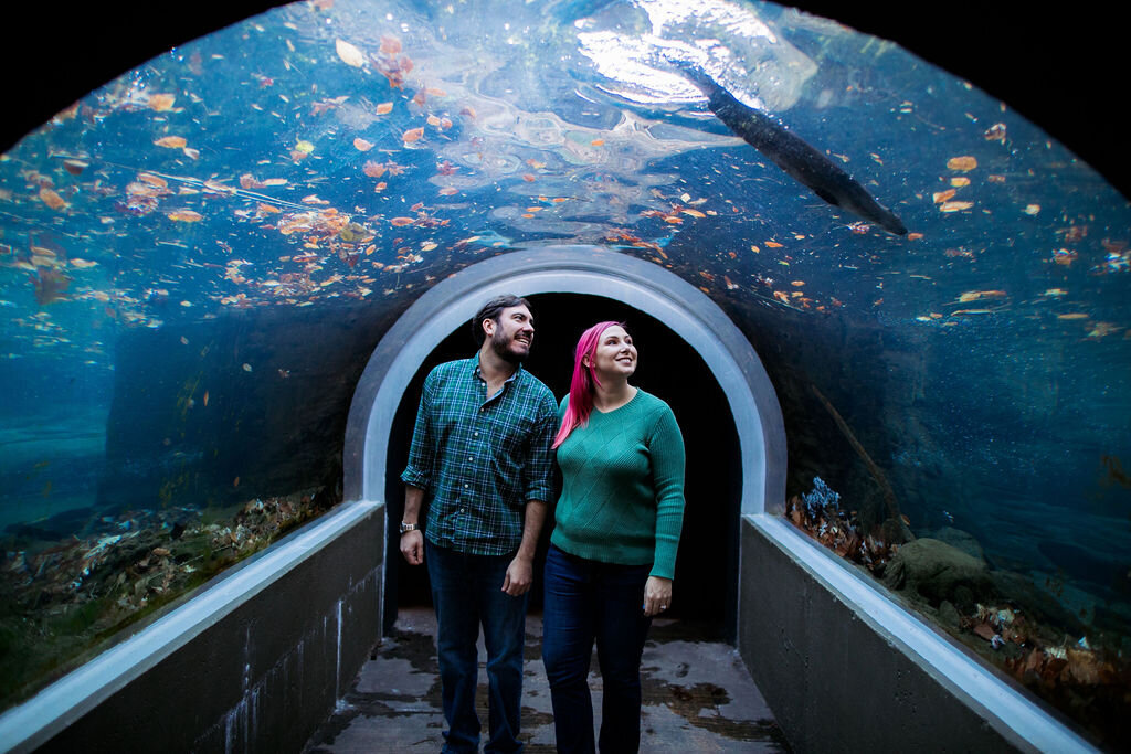 A couple holding hands and walking through an aquarium