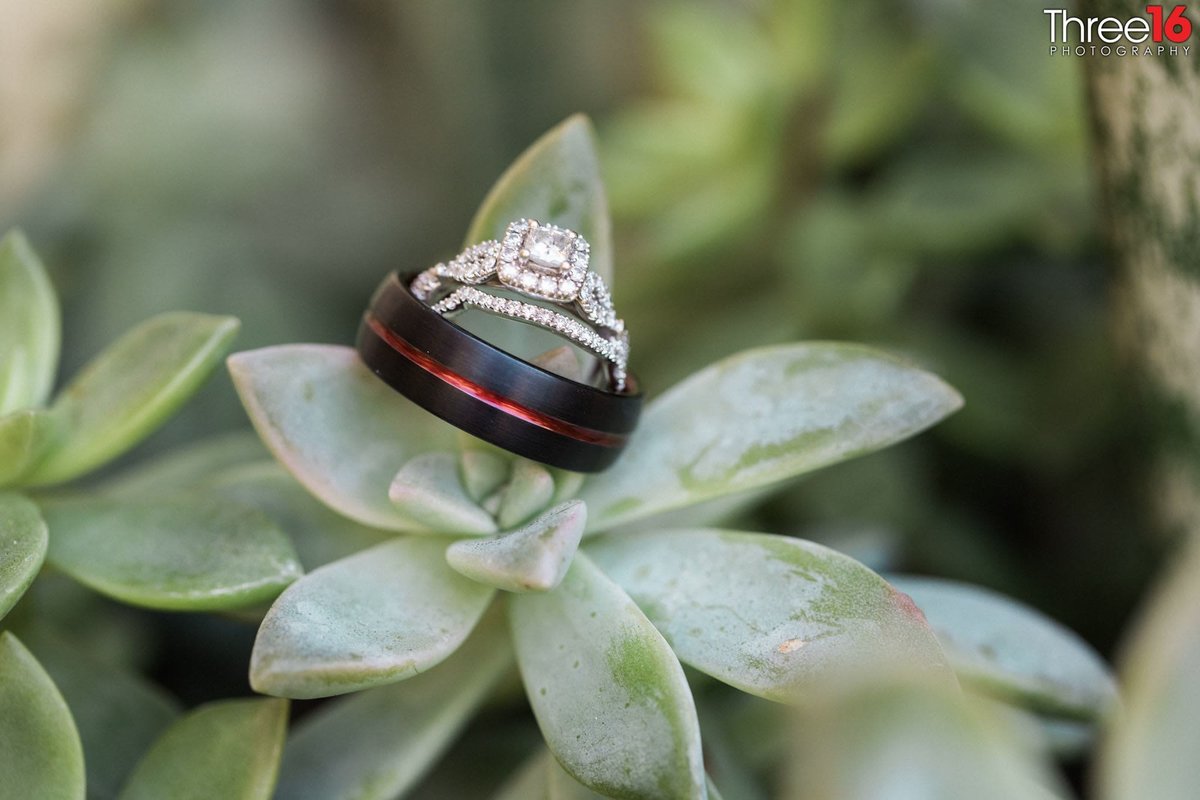 Wedding Couple's Wedding Bands sit atop a green plant leaf