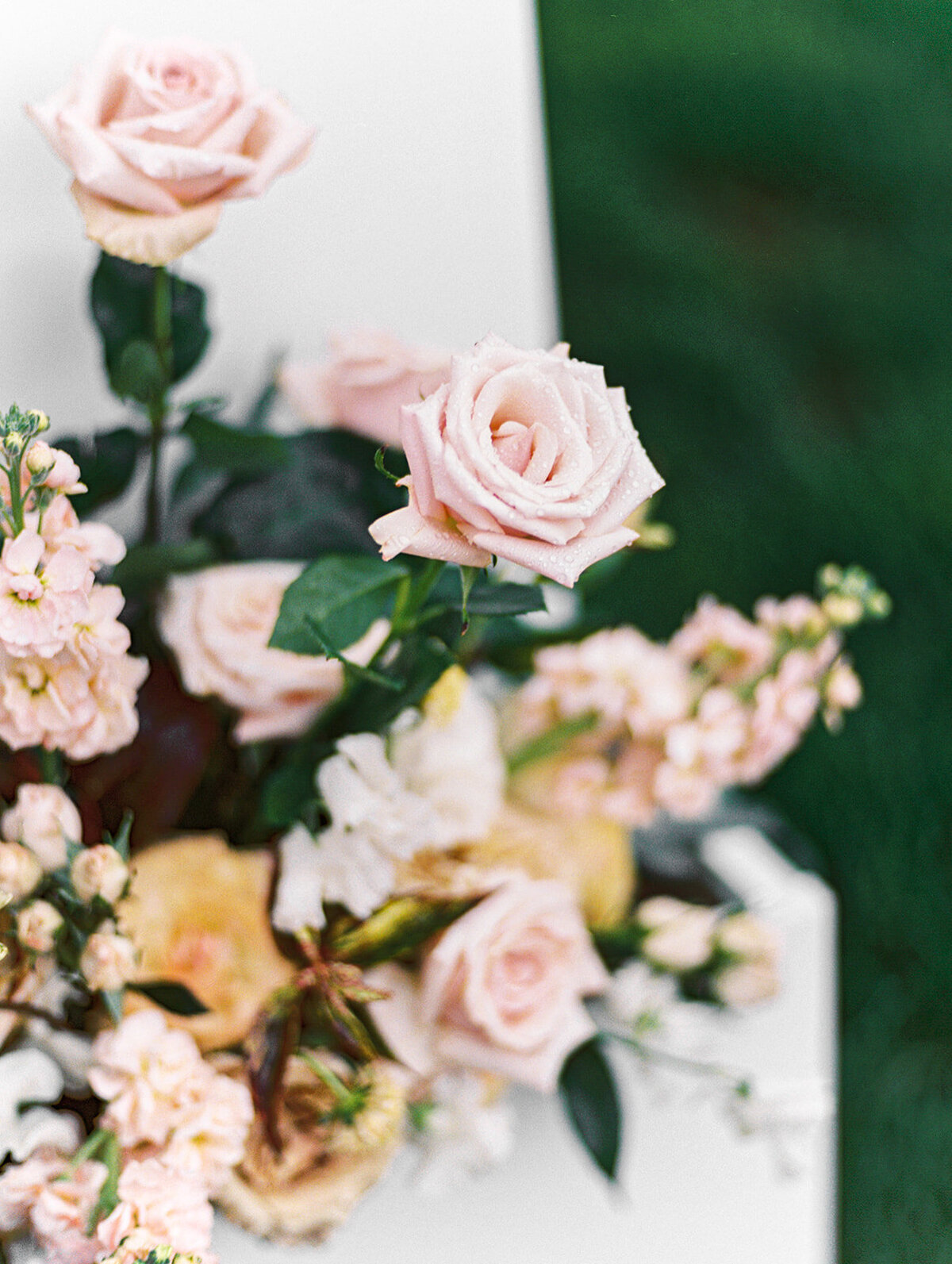 PeterloonEditorial_MarissaBellePhotographyFilm-36