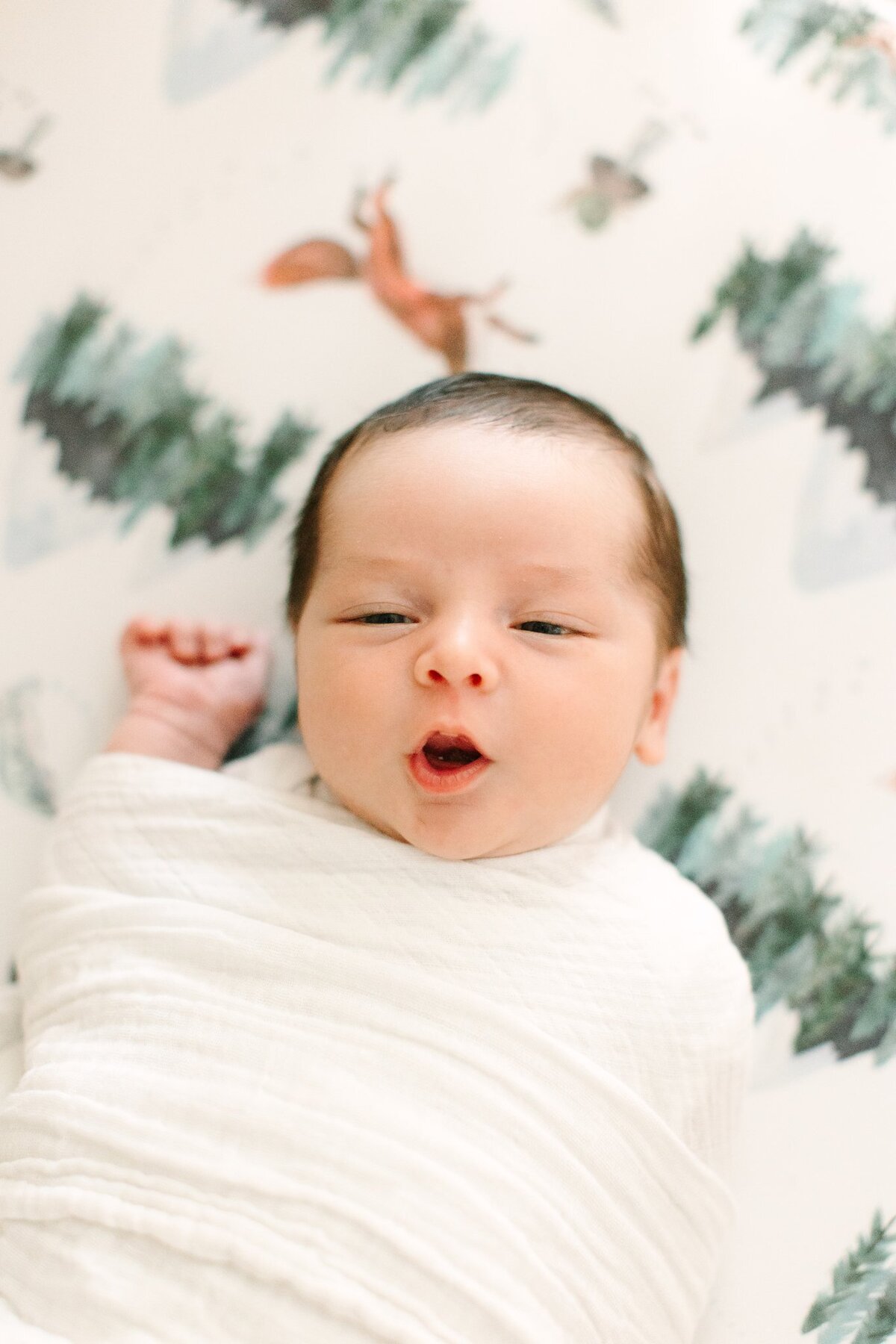 2024_05_BabyCallahan-8352