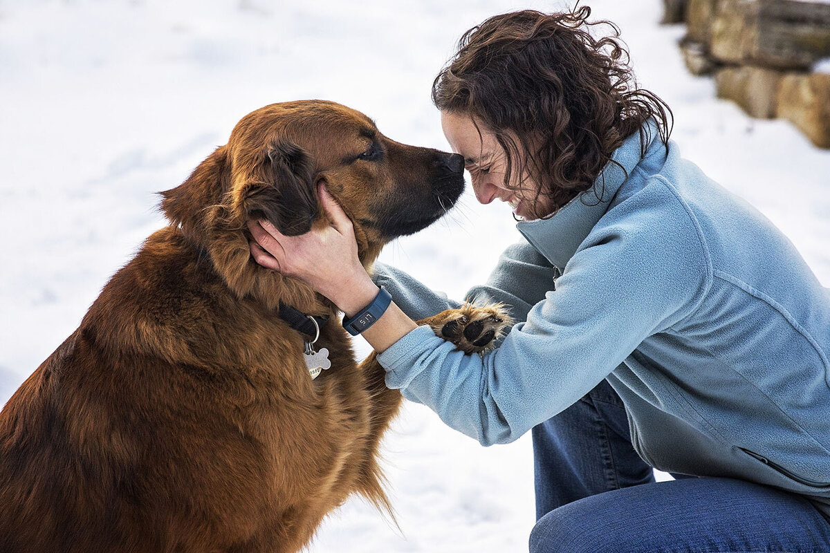 pet photographer