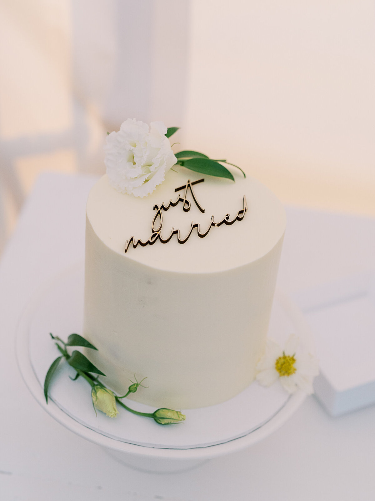 paigeandkurtisweddingbestof-43