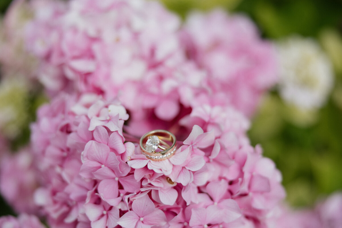 las vegas wedding photographer - cascade and canyon photography-18