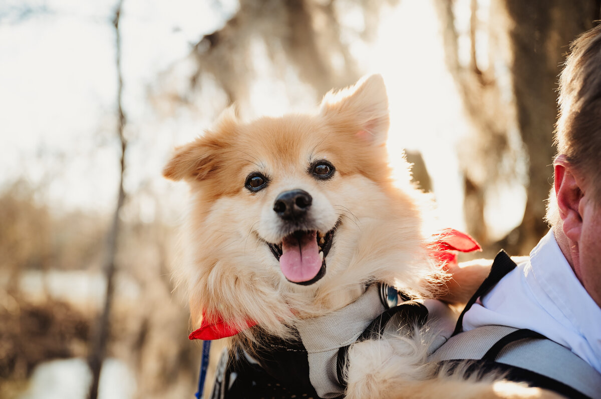 NinaJ_Spring2025_038