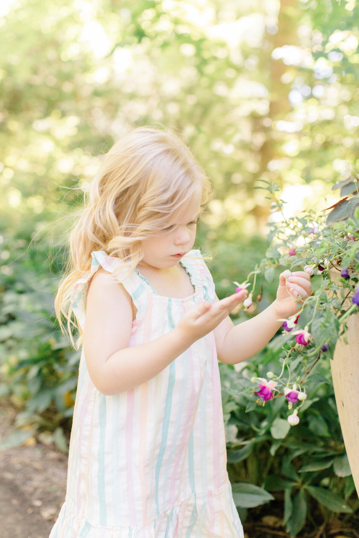 family photographer in carmel
