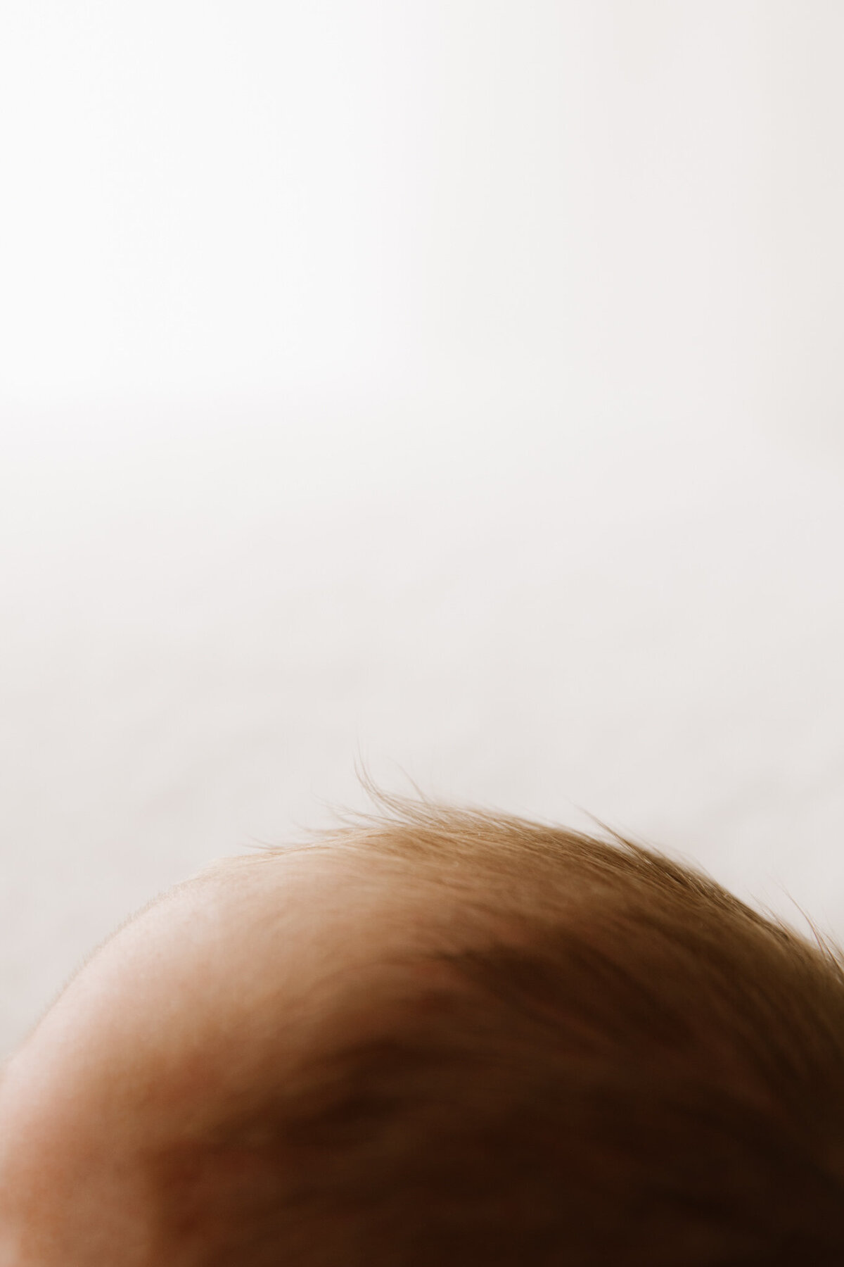 A close-up image capturing the soft wisps of hair on a newborn's head. The delicate strands are highlighted against a creamy, softly lit backdrop, showcasing the fine details that make newborn photography so intimate and sentimental.