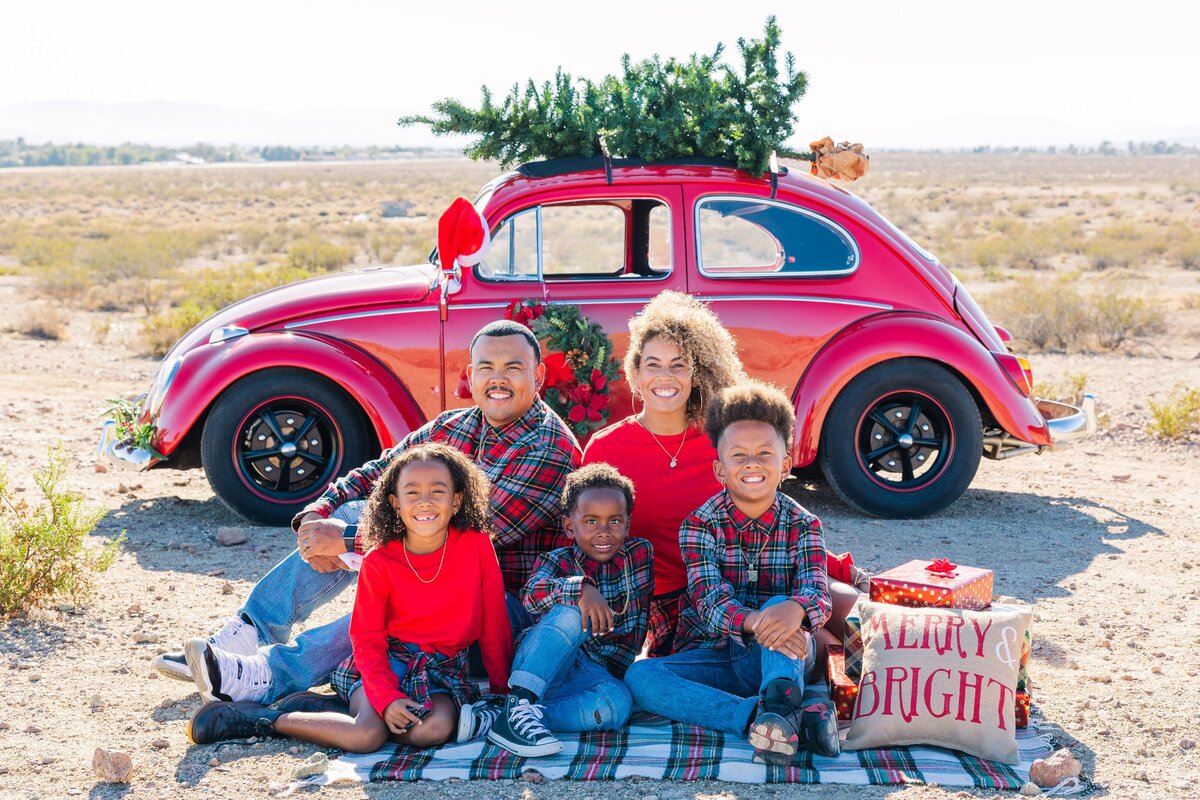 Beetle-Christmas-portrait-Aronoff-Photography-7