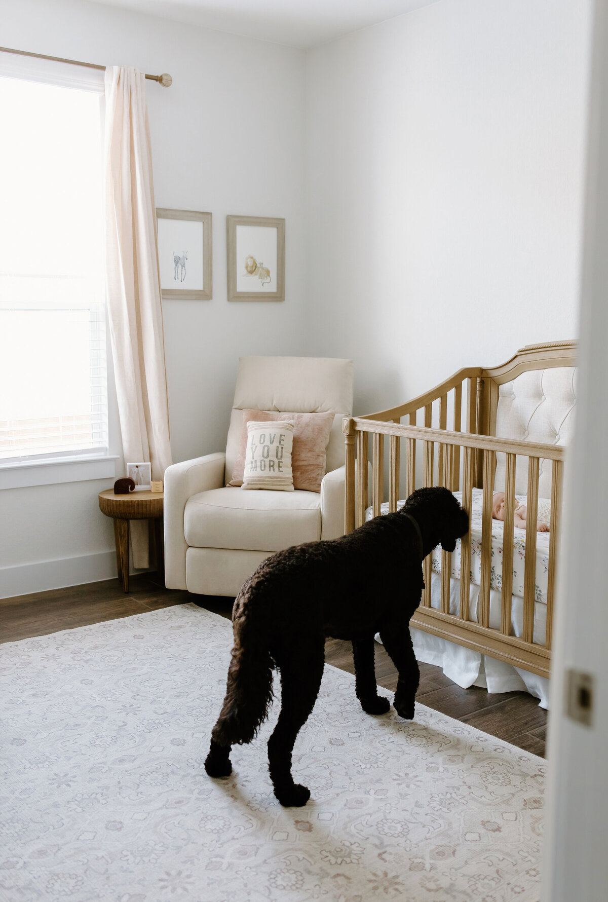 Austin-Lifestyle-Photographer-Styles Newborn Story-15