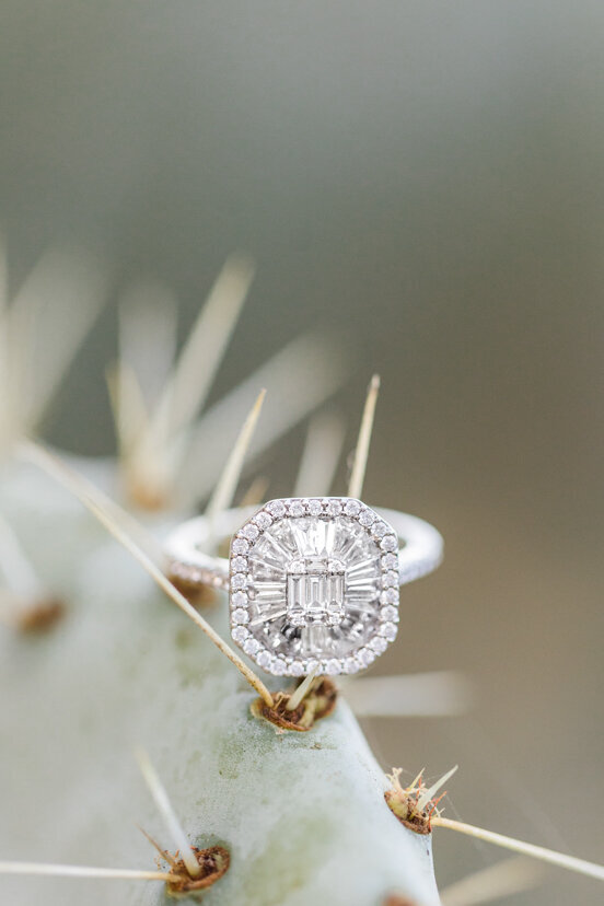 engagement-ring-on-cactus