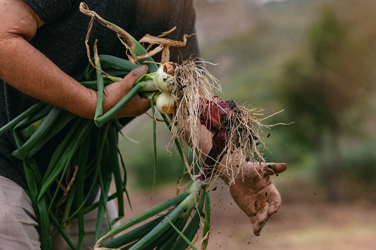 Leap-Lab-Science-Farm-Ventura-California-Santa-Paula-Non-Profit-0019