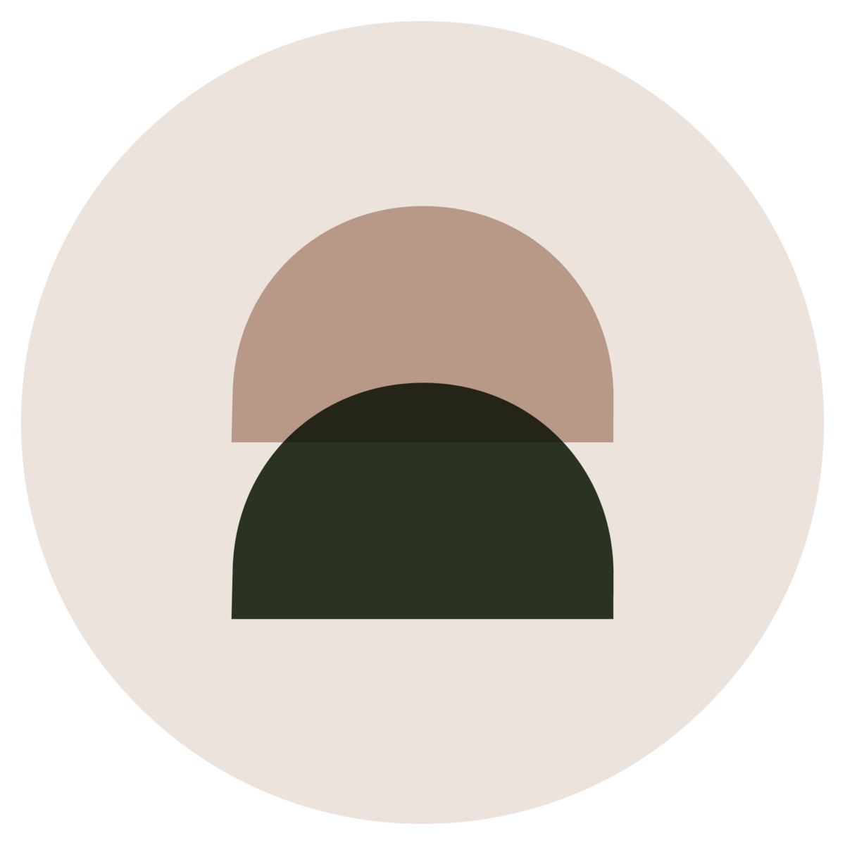 240803748_202544265227969_5073202511695466015_n (1)