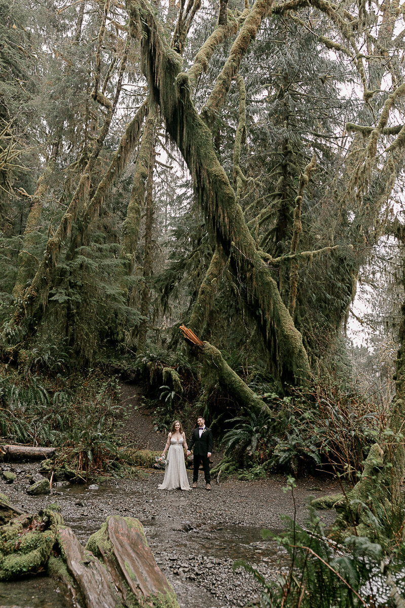 washingtonelopementphotographer-fernacreswedding-forkswashingtonwedding-pnwelopement-67