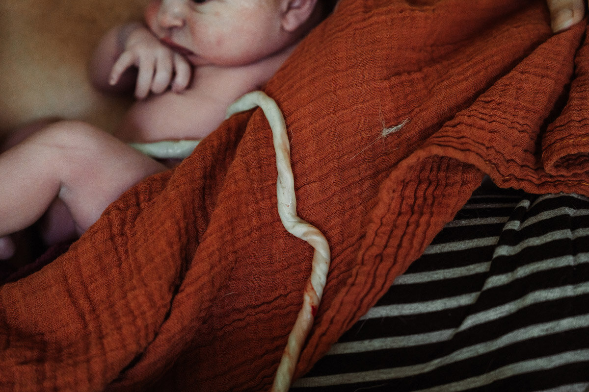 home-birth-photography-natalie-broders-g-059