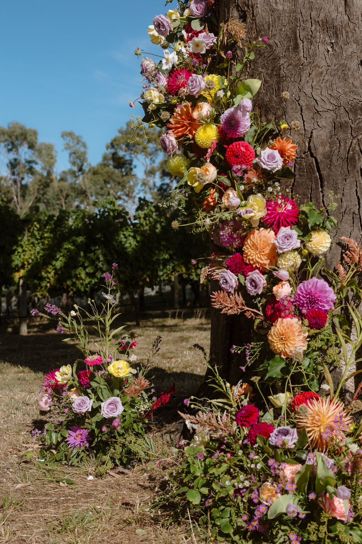 Beautiful outdoor adelaide summer wedding-43