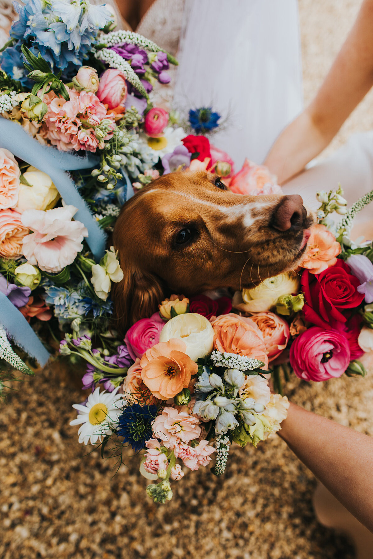 Alternative Wedding Photographer Nottingham Wedding Photography Fun Colourful Wedding Photography Iscoyd Park Wedding6