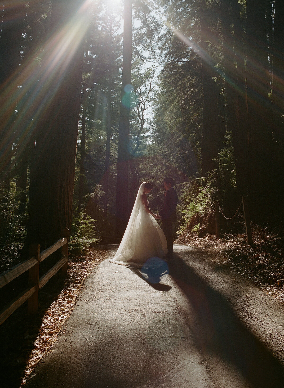 Yena_Rewon_Wedding_Mo_Davis_Photography 241657
