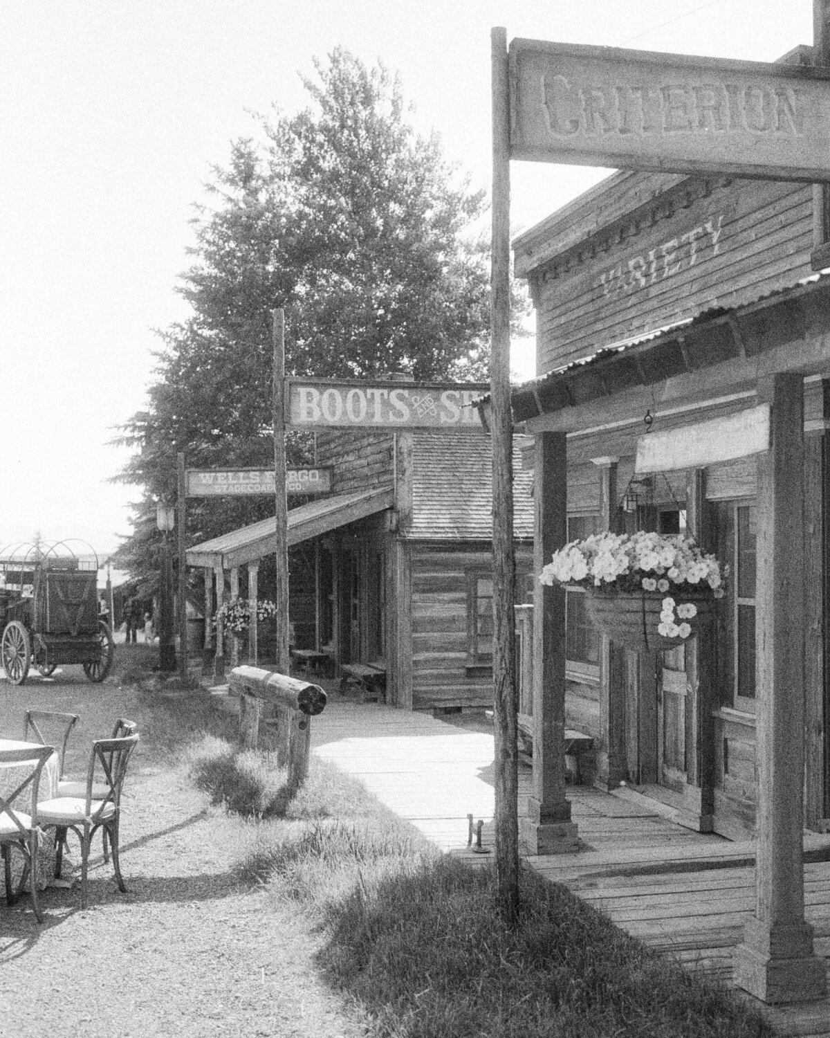 Kelley & Josh - Website Highlights-31