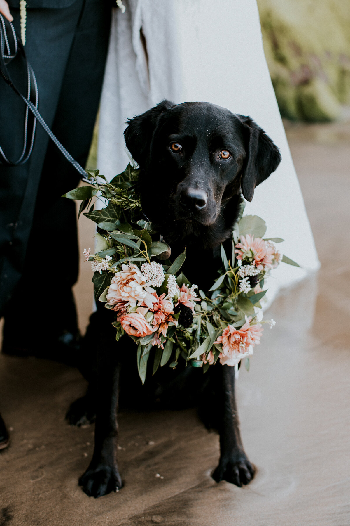 Hazelwood-Photo-Oregon-Elopement 022