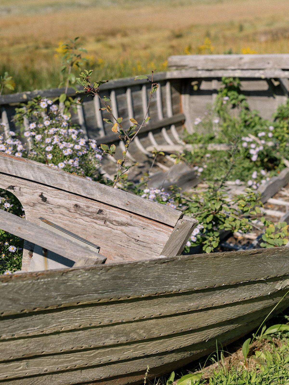 240914_TLC_KBWedding-222
