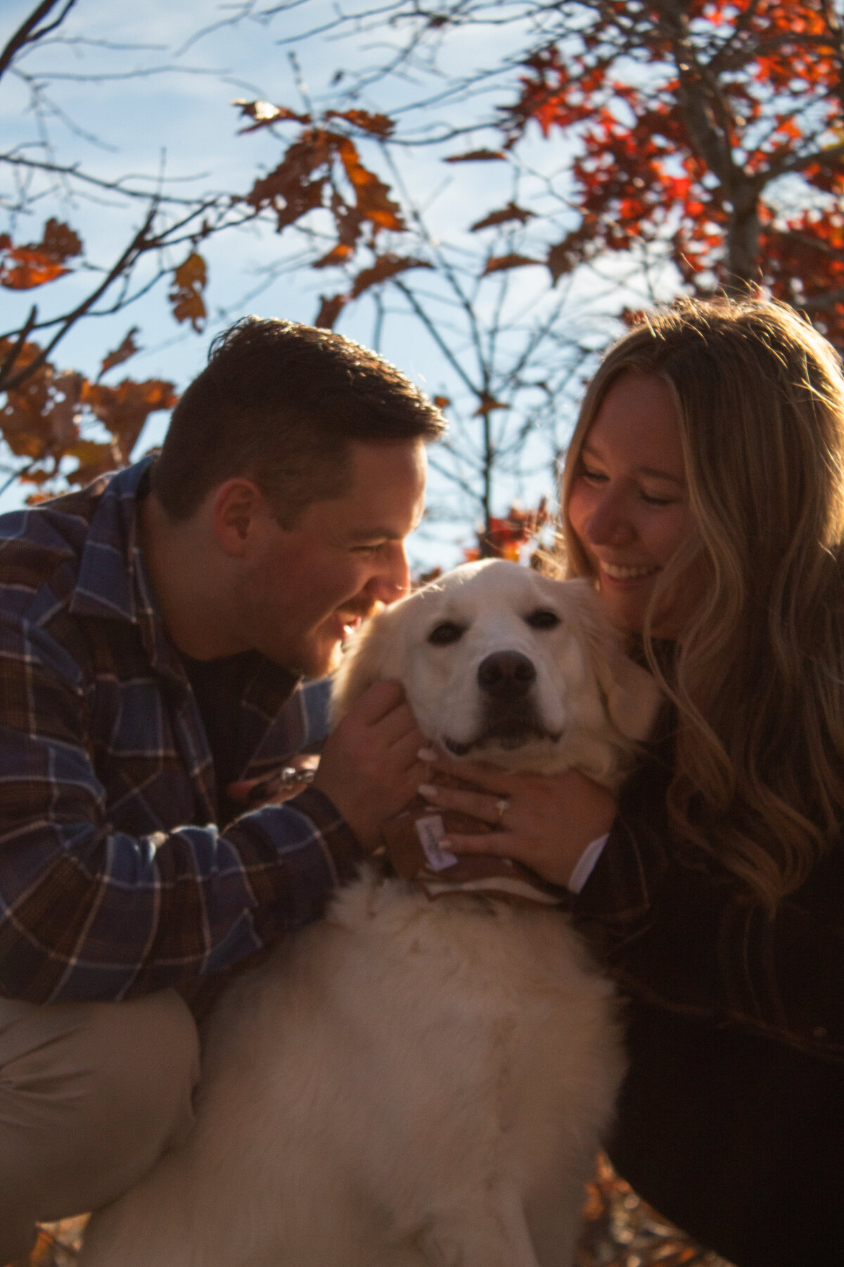Surprise Engagement in Connecticut