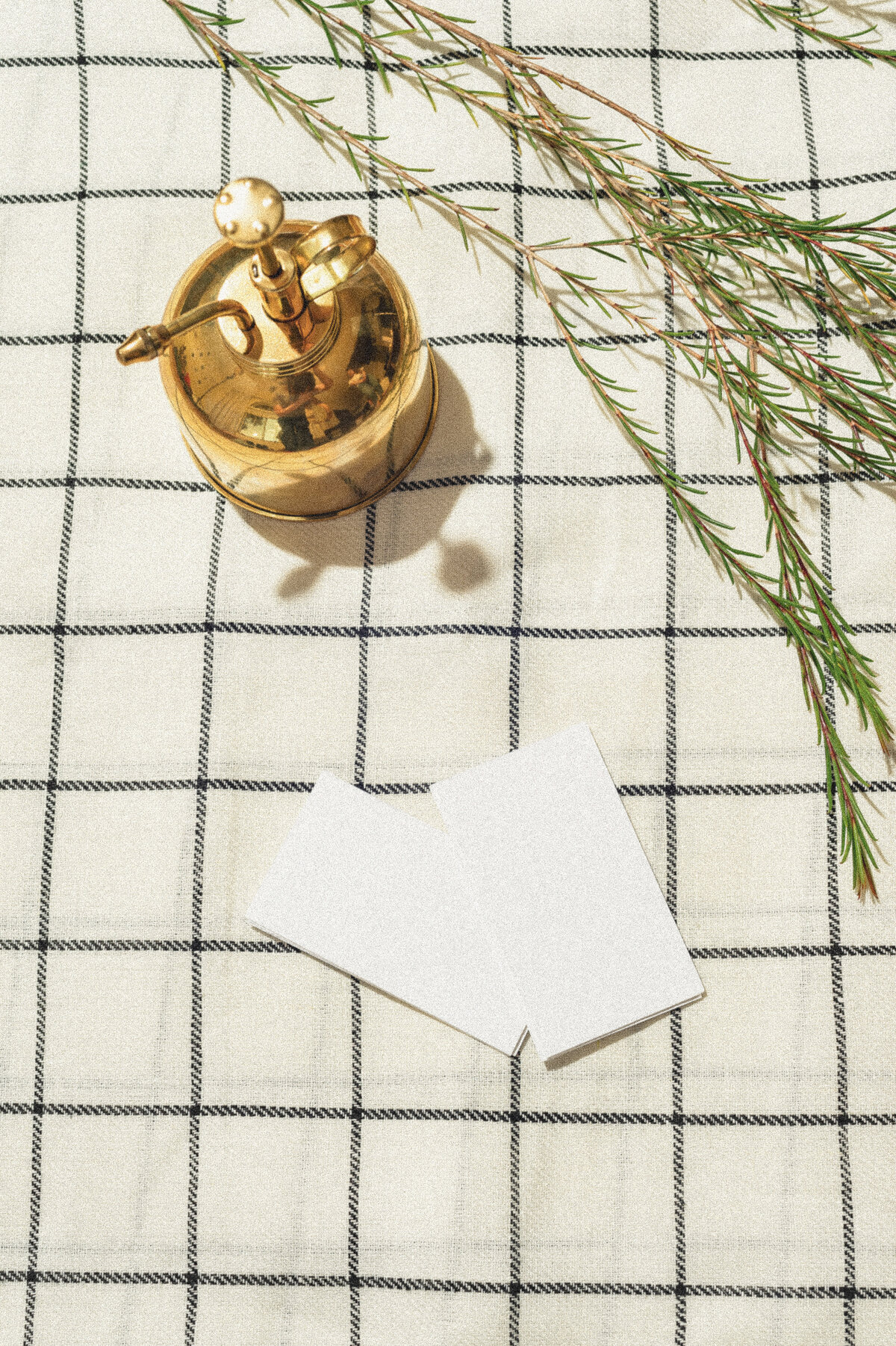 QuixoticDesignCo-Sacramento-BrandPhotography-staceydoyle-30