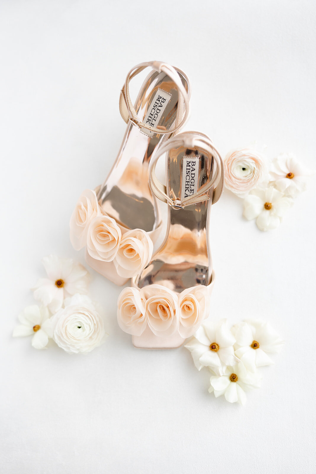 photos-by-teenzy-wellspring-89