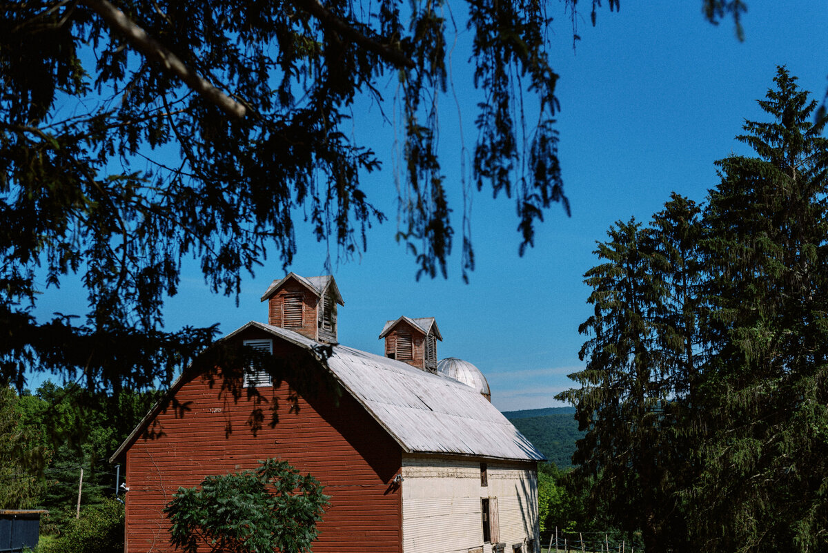 UpstateNYWedding_NYCWeddingPhotographer_TaylorNicollePhoto-51