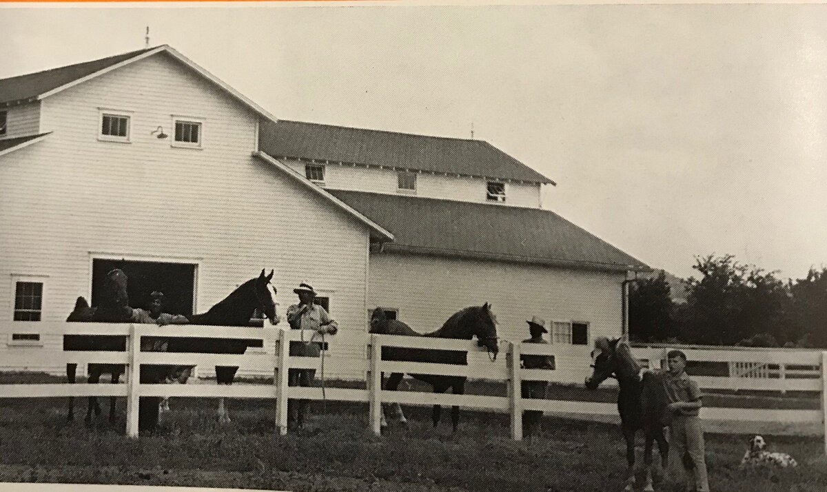 18. Show Barn