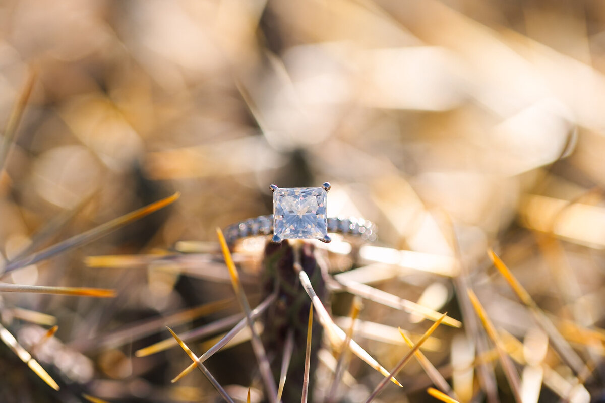 Casey + Blake Engagement -82