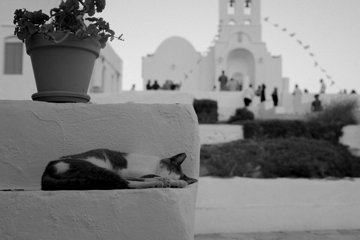 SifnosWeddingGreece084