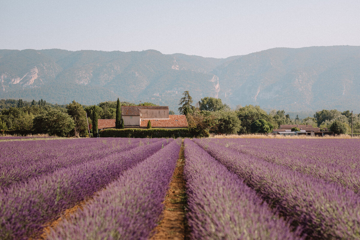 Lavender-Fields-Provence-South-of-France-Find-Us-Lost-0234