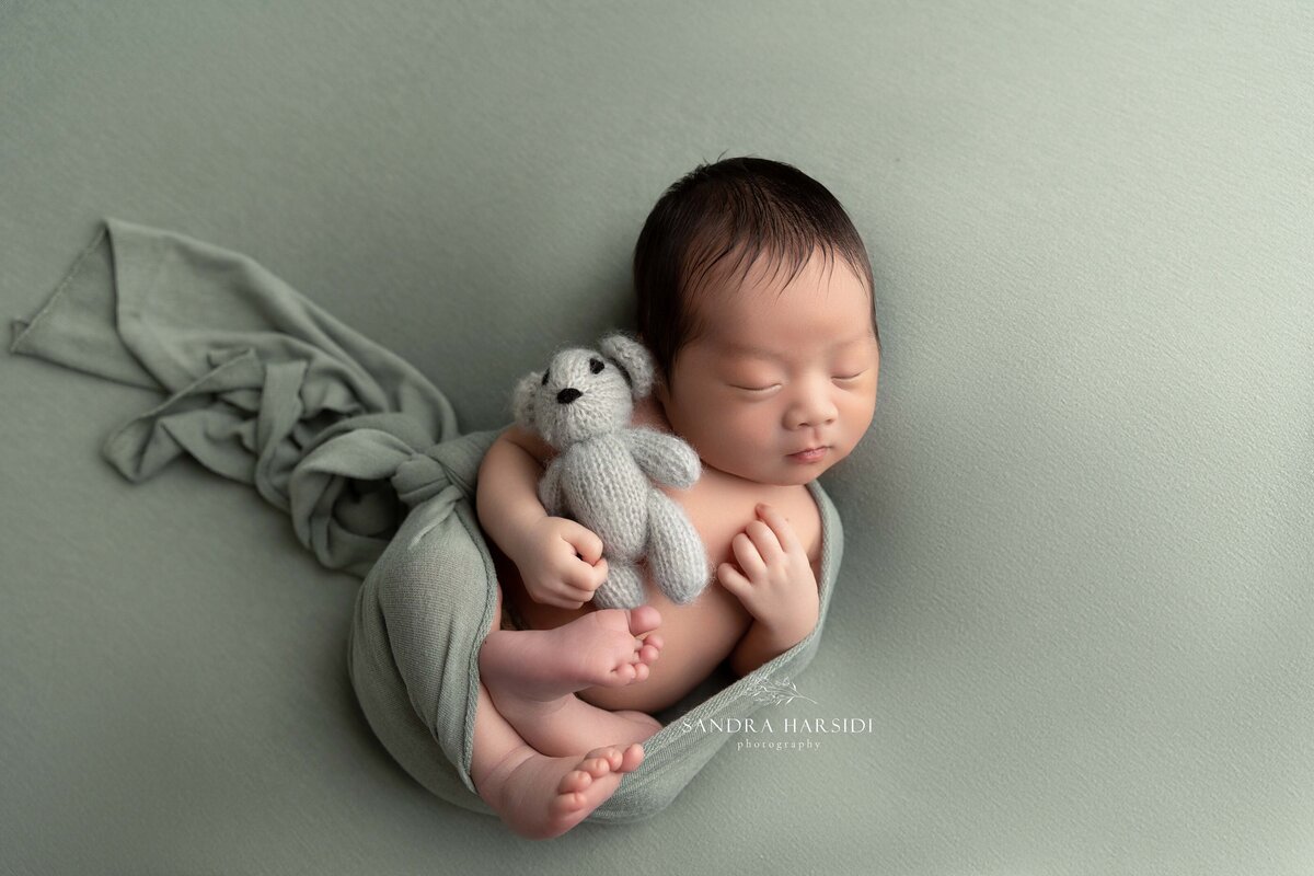 Newborn baby in sage colour photoshoot in Coquitlam