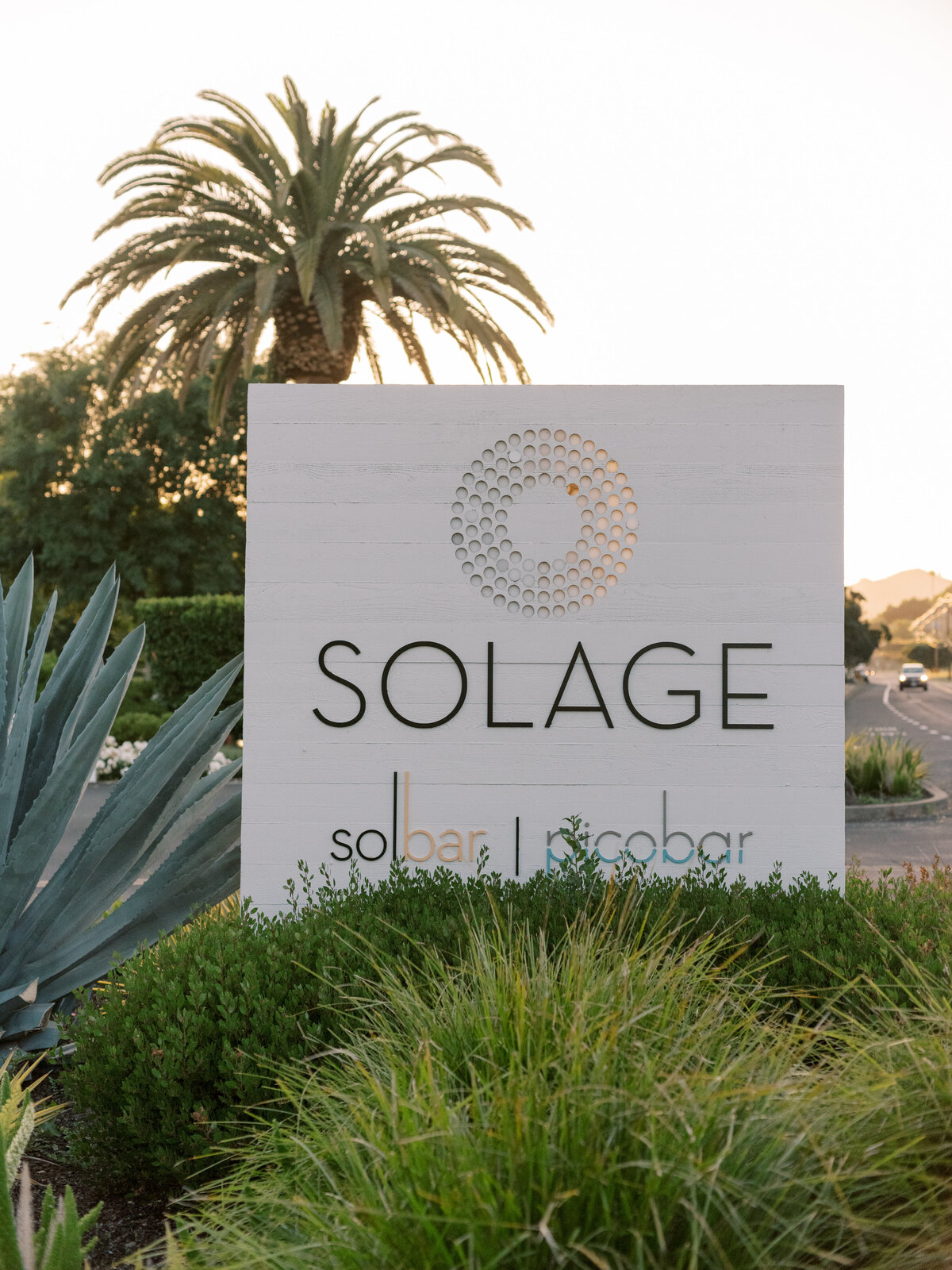 Solage Napa Wedding Photo-1
