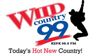wild-country-99-logo