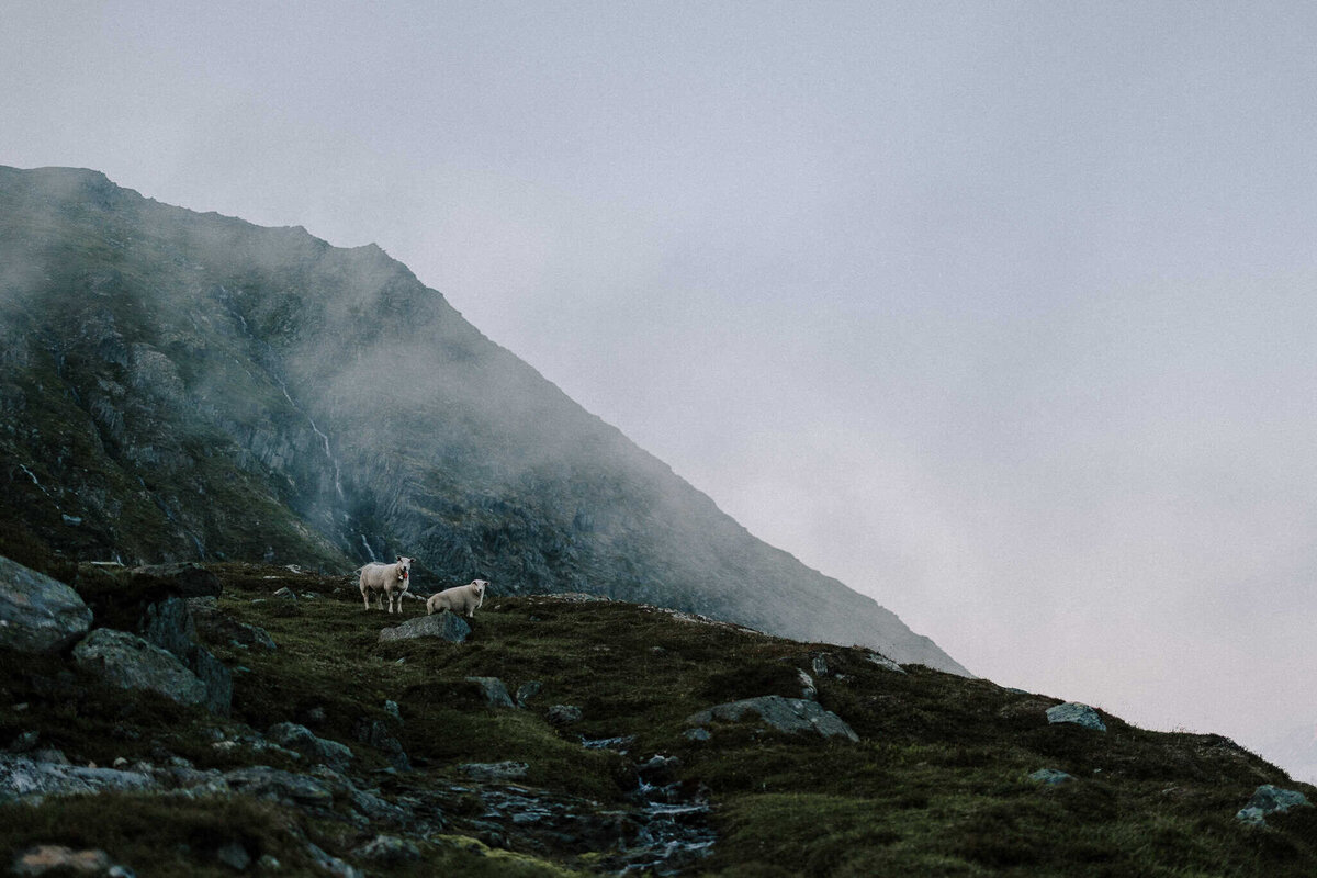 Rachel_Andrew_2025-345