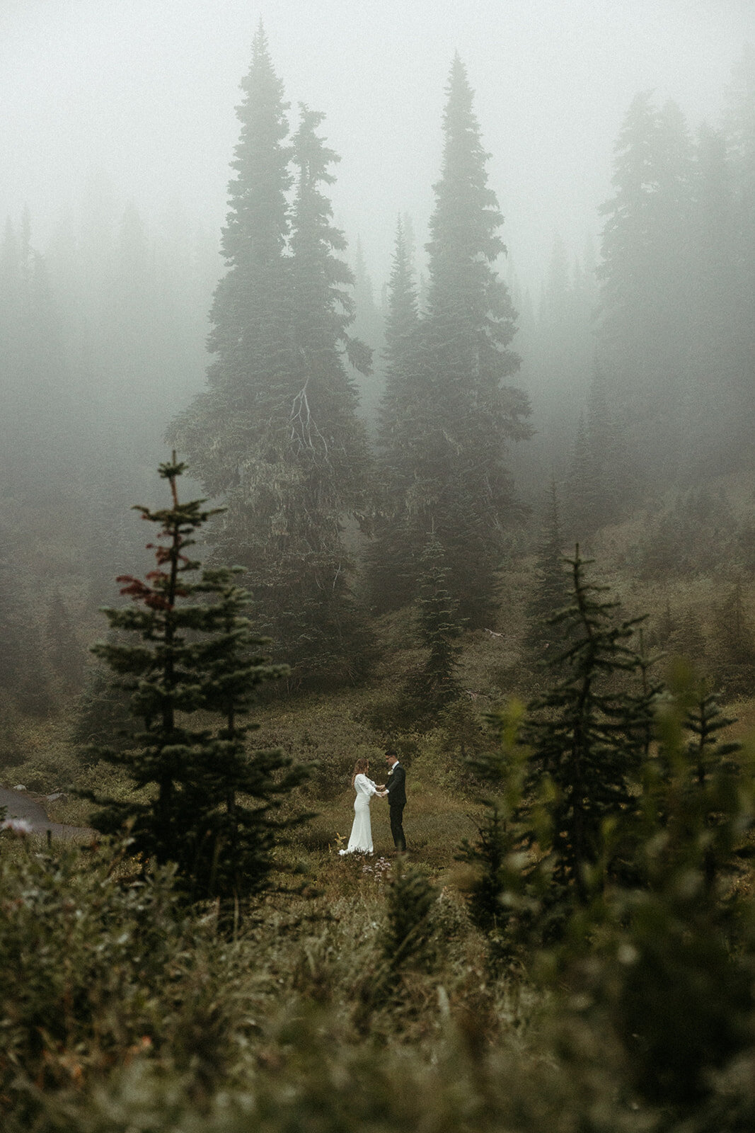 MtRainierSmallWedding-DallinHazard-61