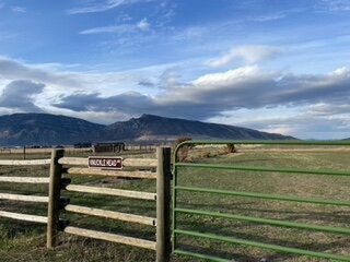 The view from our Land in Wyoming