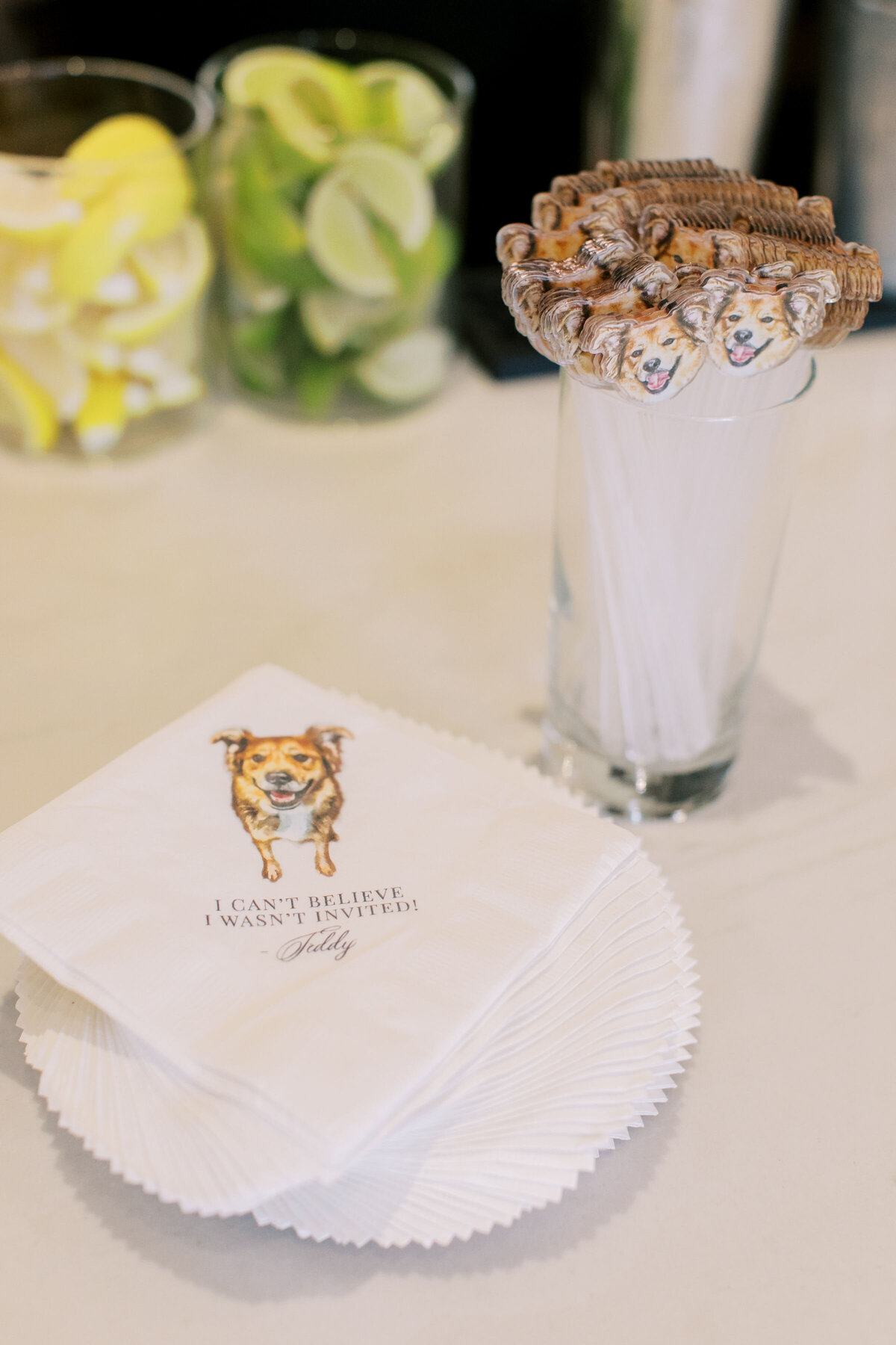 In Time Weddings & Events Houston Texas Greater Houston Texas Wedding Event Planning Planner Destination Weddings Chardae Renée DeTerlizzi27