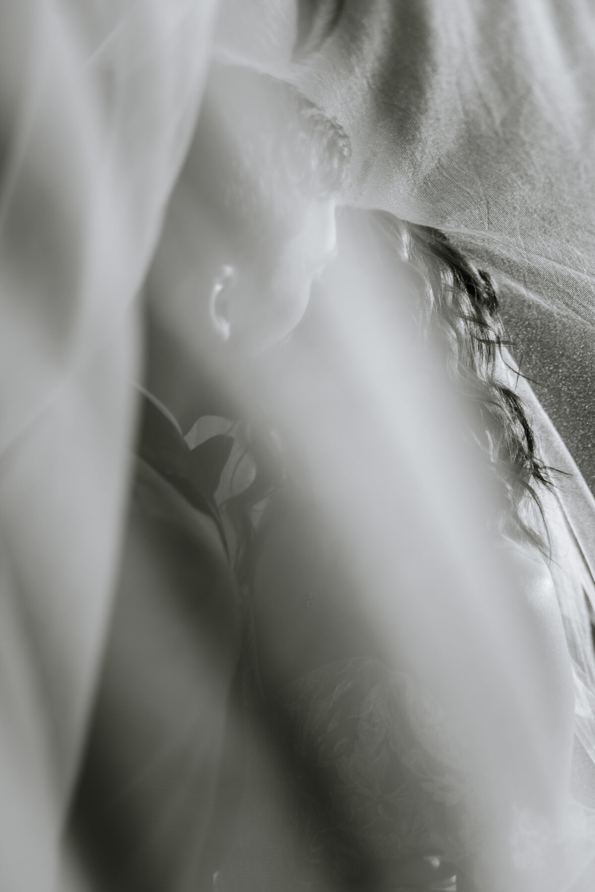 RLP_2674