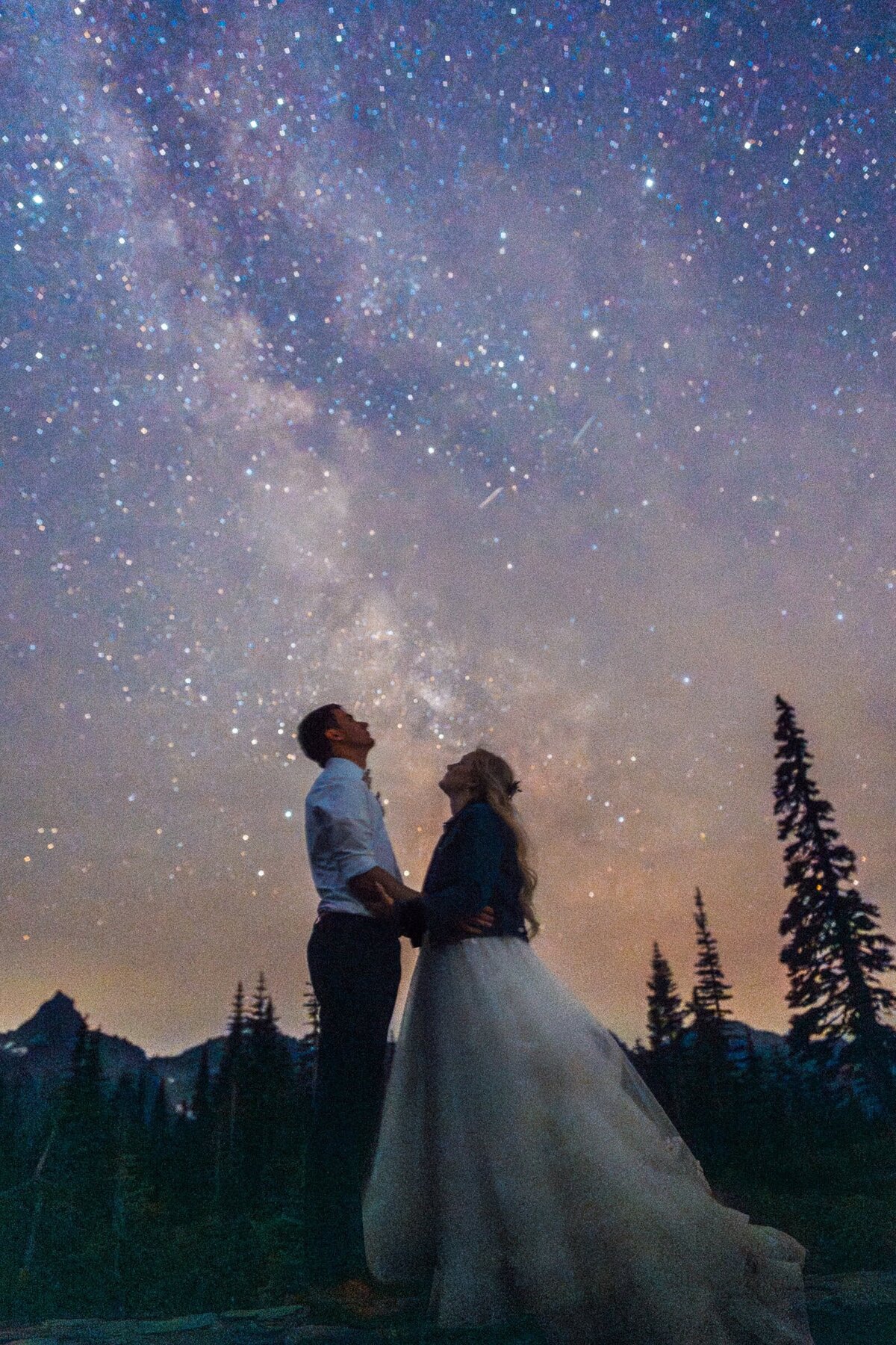couple in wedding attire admiring milky way in Mount Rainier National Park.