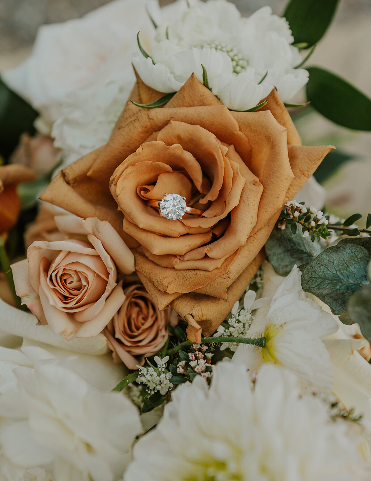 presley-gray-glacier-national-park-elegant-elopement-1244
