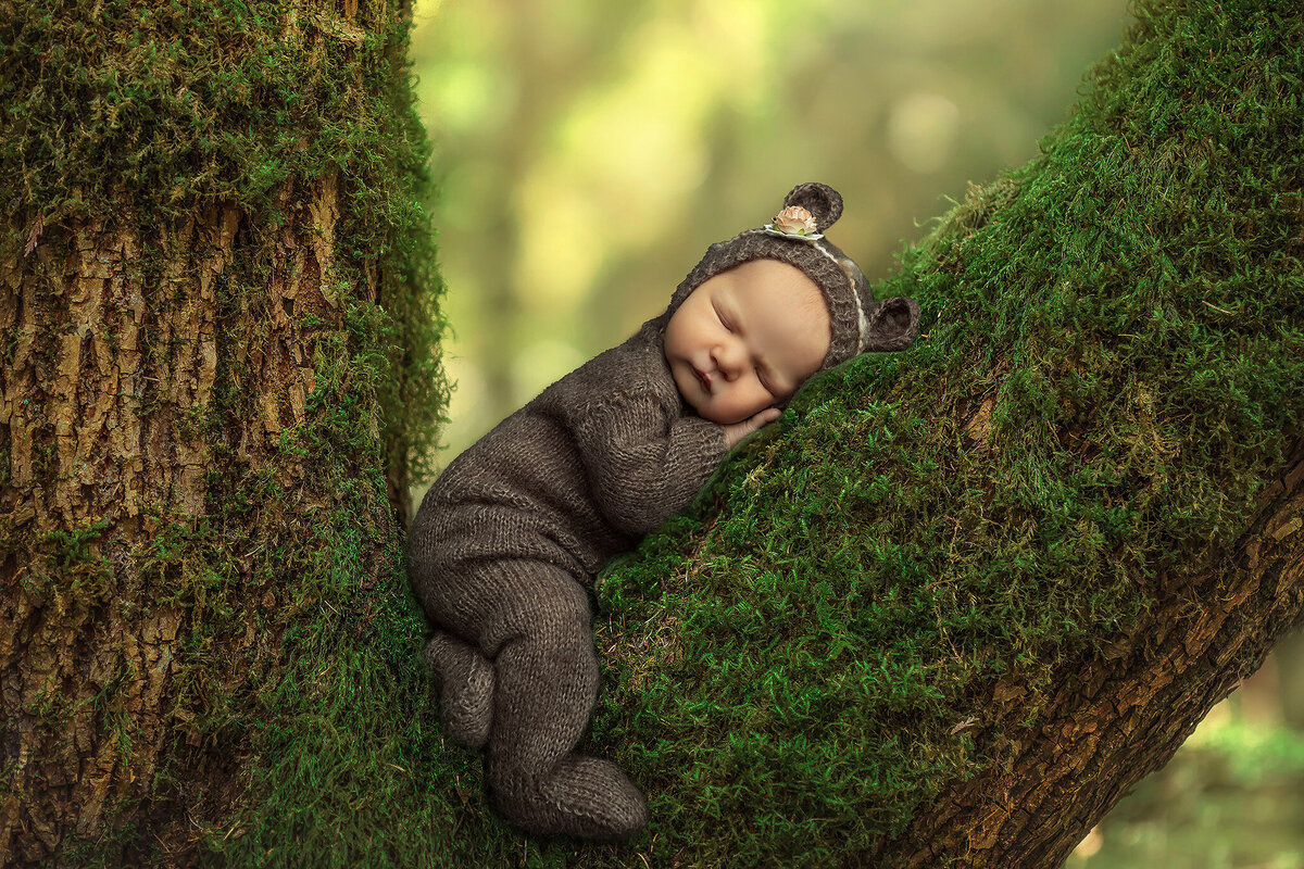 Newborn baby dressed as a baby bear snuggled against a moss-covered tree branch, showcasing creative newborn photography and storytelling baby portraits.