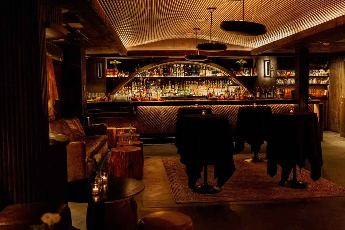 engagement-party-photography-washington-dc-d-lena-restaurant-10