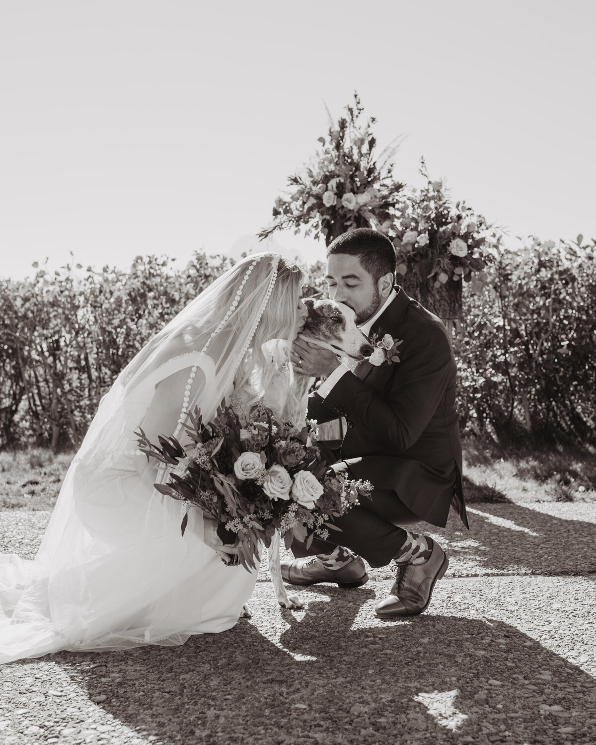 Photographers Jackson Hole capture bride and groom kissing dog