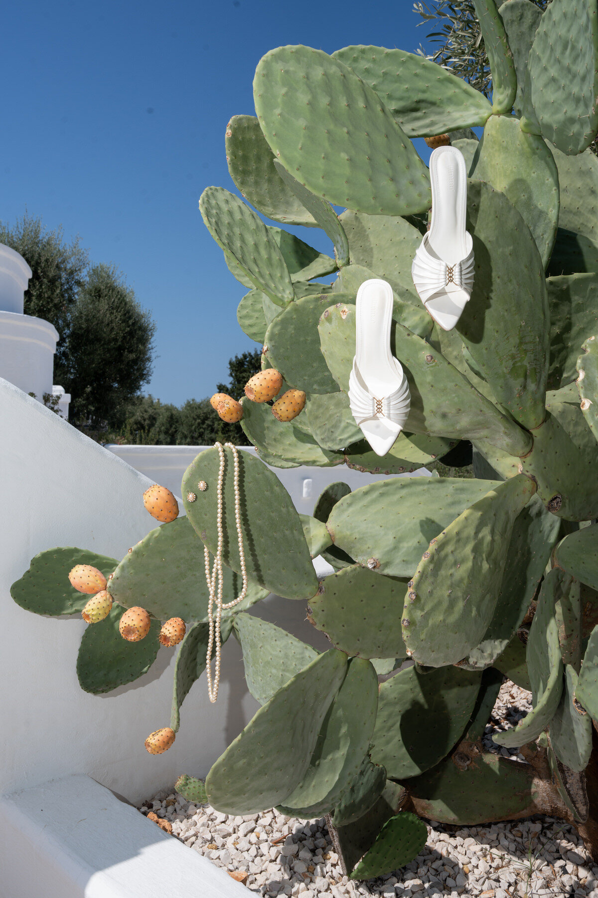 155 - Jesse and Spencer x klassen weddings x Masseria Borgo Ritella_0295